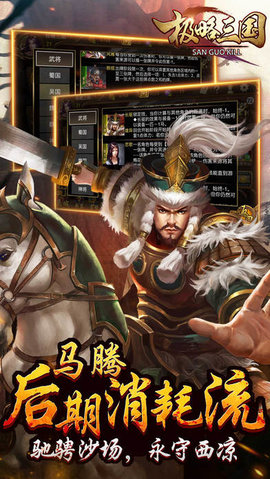 极略三国截图2