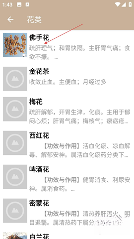 中草药宝典