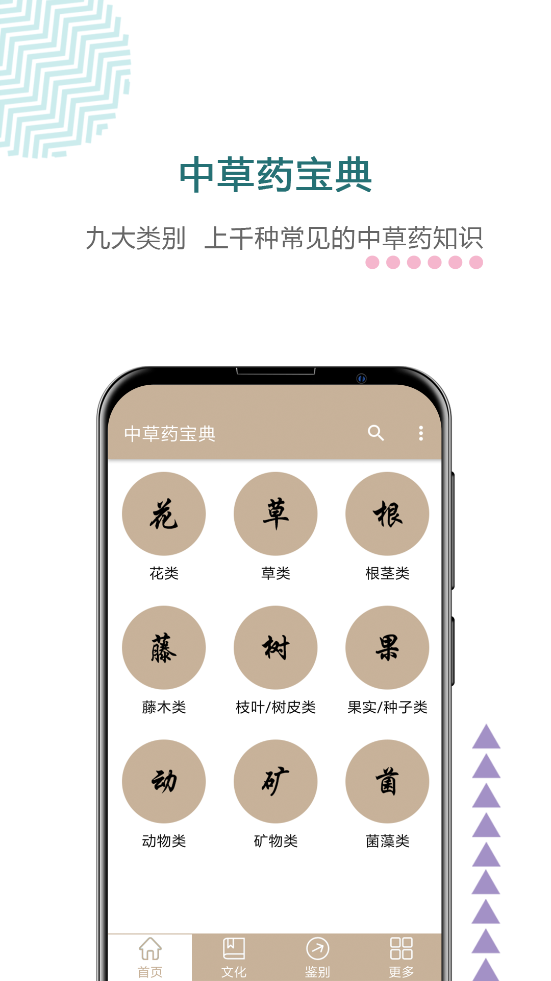 中草药宝典截图0