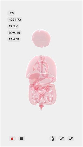 生命人体模拟器Life截图0