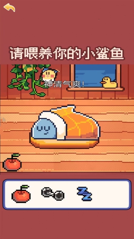 我的可爱小鲨鱼游戏正式版