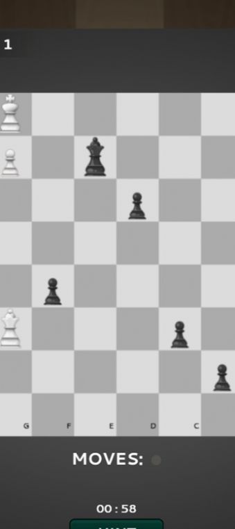 国际棋的狂热游戏