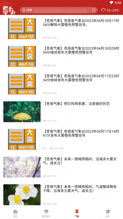 看苍南手机客户端截图1