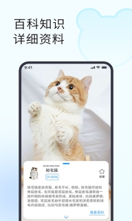 拍照识花识物手机版截图3