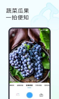 拍照识花识物手机版截图2
