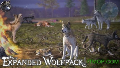 终极野狼模拟器2(UltWolf2)截图1