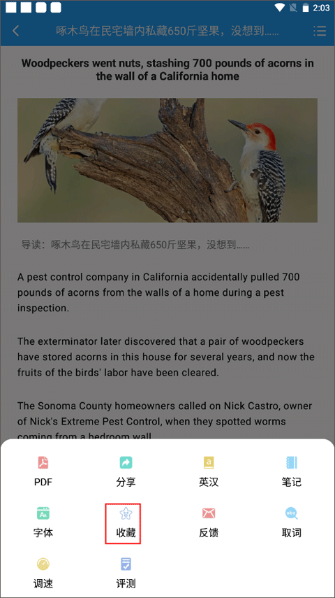 英语新闻双语版
