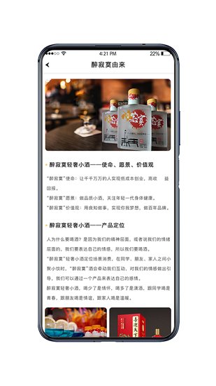 醉寂寞最新版