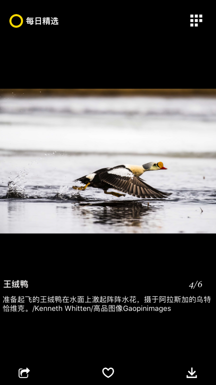 国家地理杂志截图0