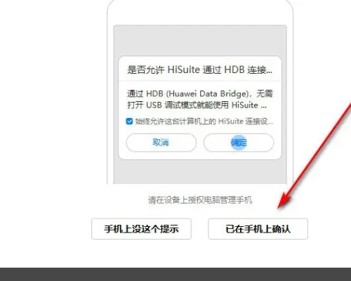 hisuite