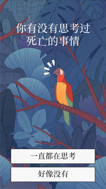 孤独的鸟儿最新版截图2