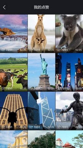 泡泡视频截图2