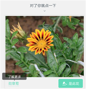 形色识花 v3.14.22 安卓版