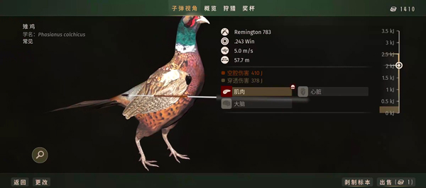怎么玩截图5
