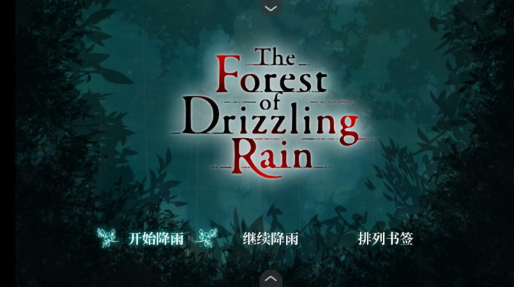 雾雨飘散之森截图0