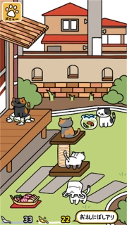 猫咪后院2手机版截图2