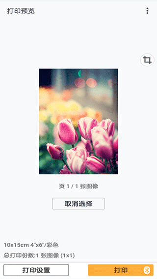 佳能打印截图2