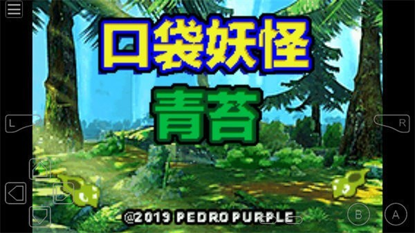 口袋妖怪青苔汉化版截图0
