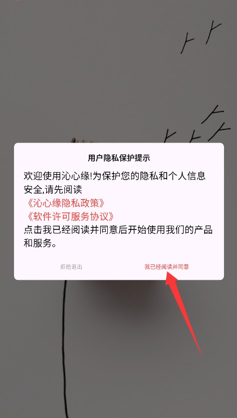 沁心缘