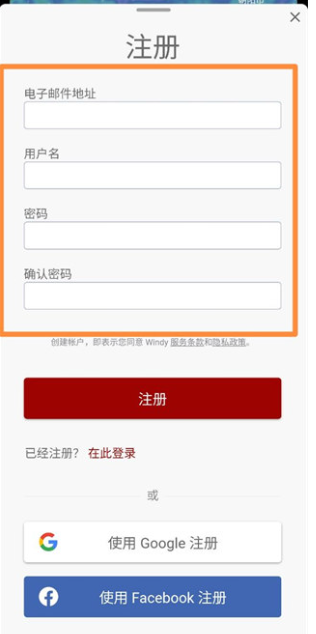 Windy专业版截图1