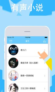 有声小说大全