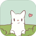 猫咪和汤正版
