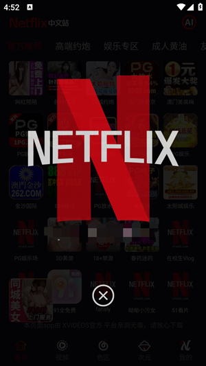 Netflix中文站