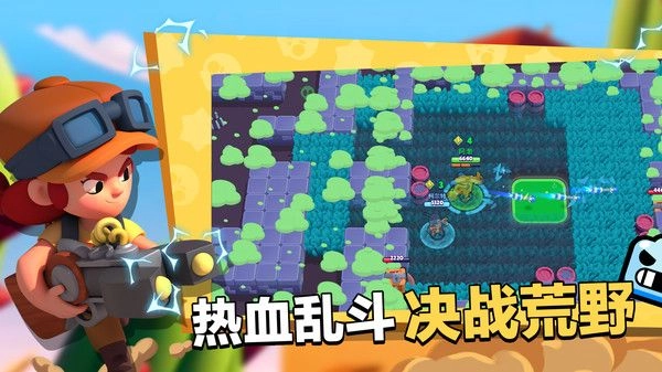 荒野乱斗渠道服