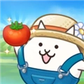 益智大丰收猫咪村