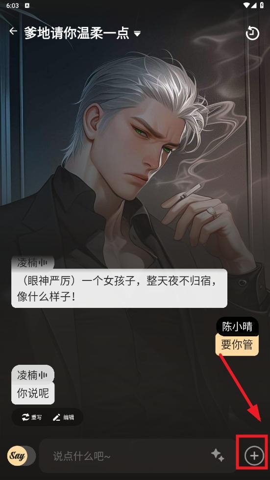 saylo软件