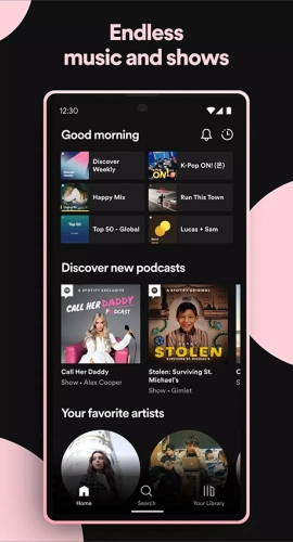 spotify正版截图4