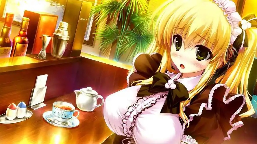 闷骚女仆汉化版
